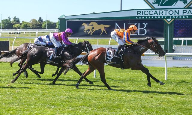 4 WIN SATURDAY - Group 3 Star Shines Bright