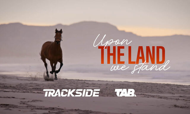 Upon The Land We Stand - Te Akau