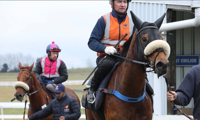 Te Akau Taupo Track Gallops