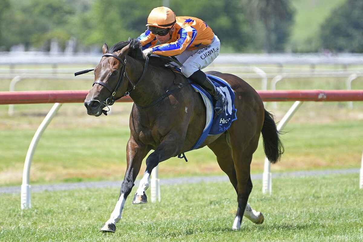 Te Akau Trentham Sunday Preview