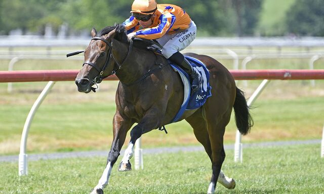Te Akau Trentham Sunday Preview