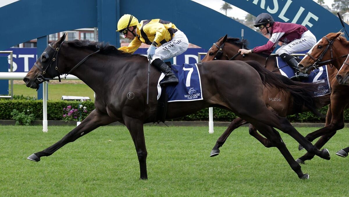 Talented Mare Top Prospect