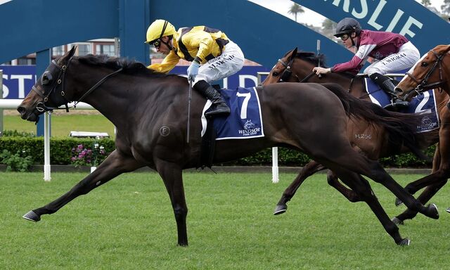 Talented Mare Top Prospect 