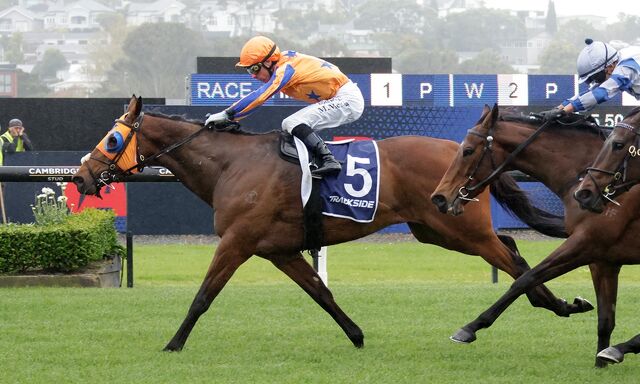 5 WIN SATURDAY: Towering Above The Opposition 