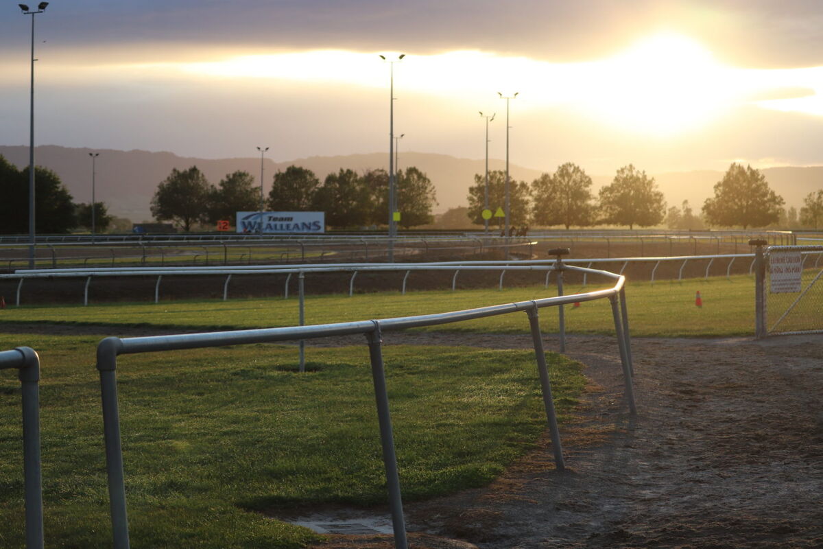 Te Akau Trans Tasman Saturday Trackwork