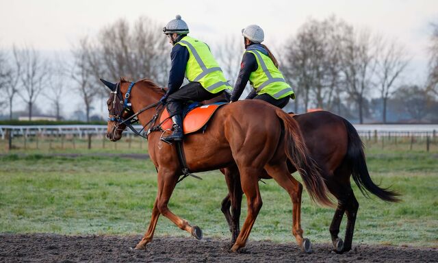 Te Akau Trans Tasman Saturday Trackwork