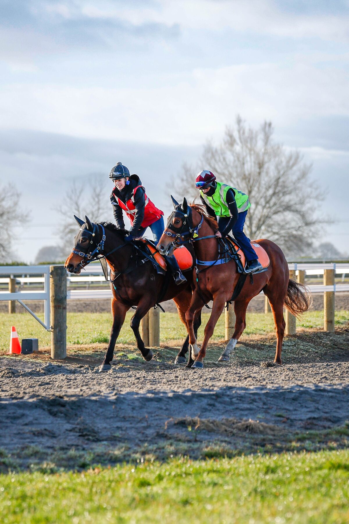 Te Akau Trans Tasman Tuesday Trackwork