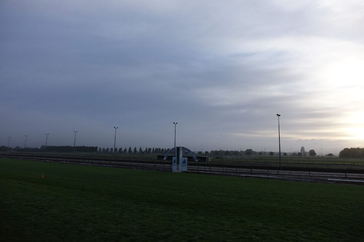 Te Akau Trans Tasman Tuesday Trackwork