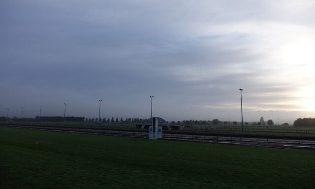 Te Akau Trans Tasman Tuesday Trackwork
