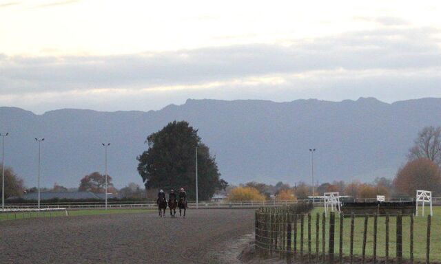 Te Akau Trans Tasman Tuesday Trackwork