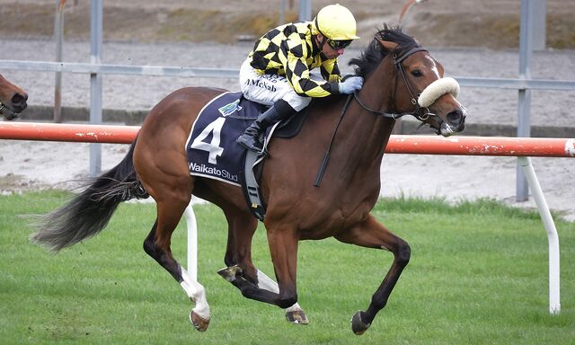 WINNER: Home Track Treble - Typhoon Too Good