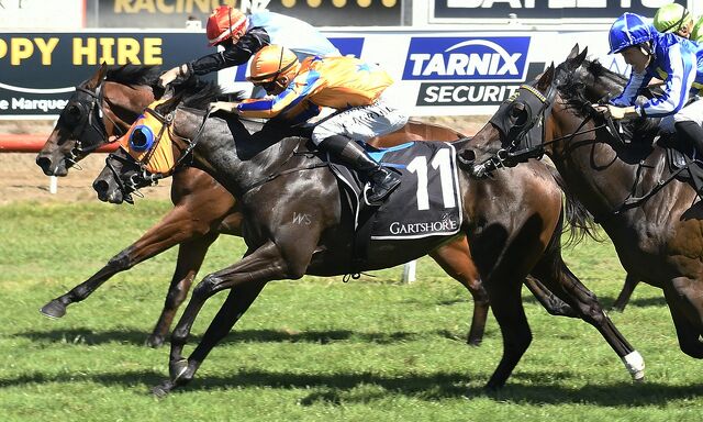 Te Akau Trans Tasman Midweek Preview