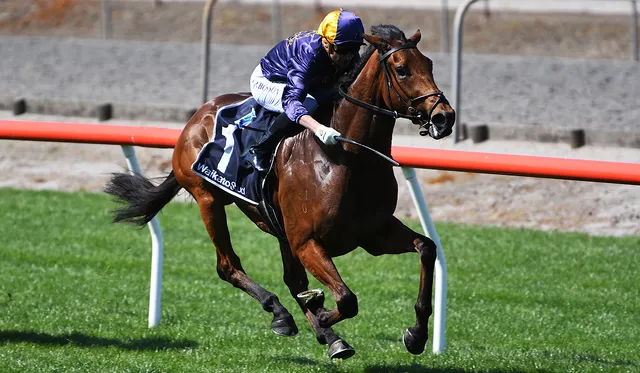 Tom Valentine Racing Valentine Breaks Opposition Hearts | News - Te Akau Racing