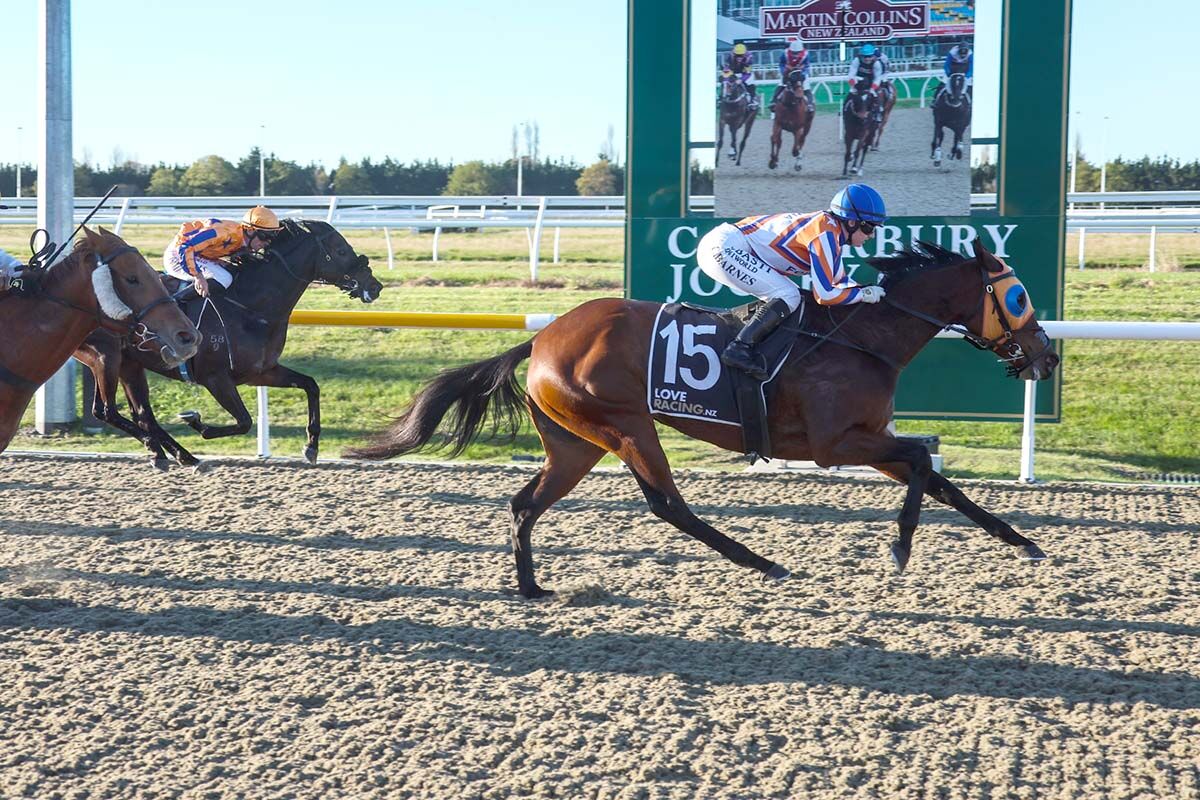 Te Akau Riccarton Thursday Preview