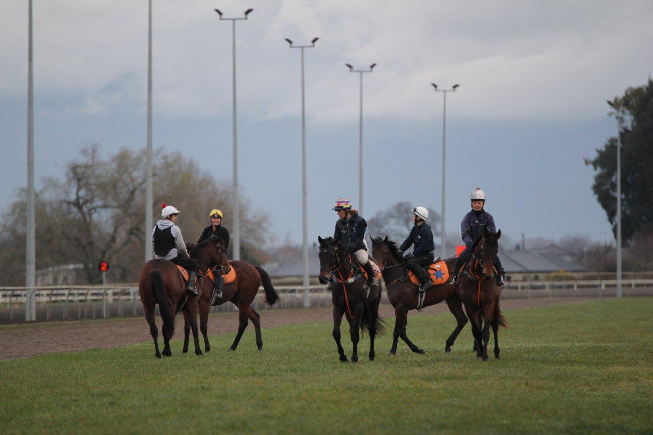 Horses and riders exercising on the grass at Matamata