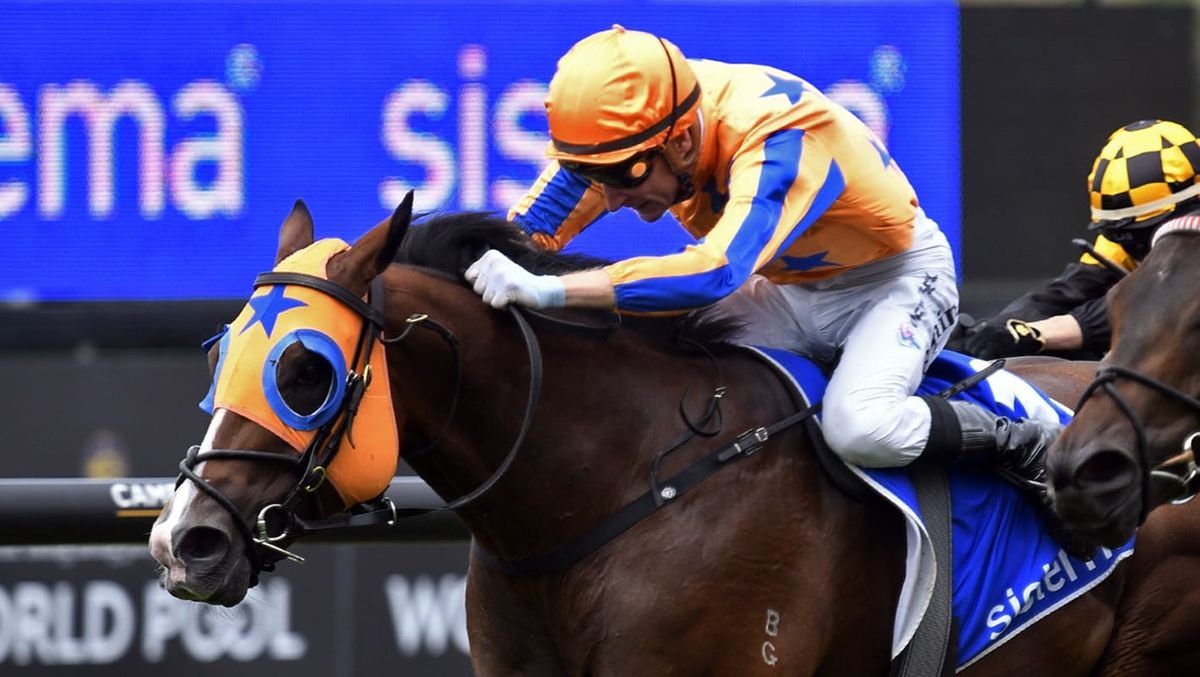 Return To Conquer racing in Te Akau’s tangerine and blue colours